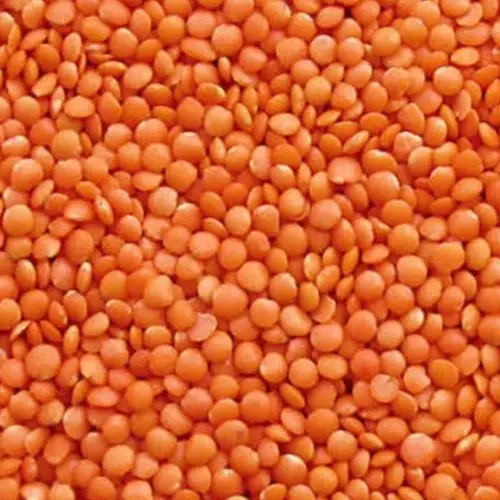 masoor daal 500gm