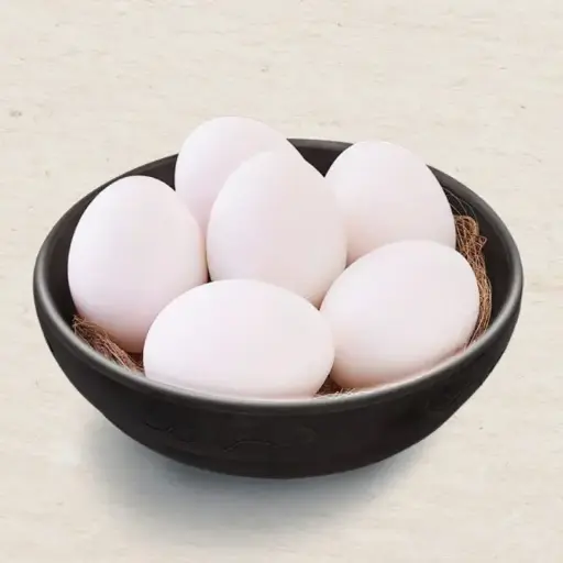 egg 1