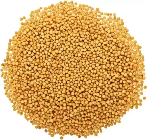 sidesh yellow mustard 100gm